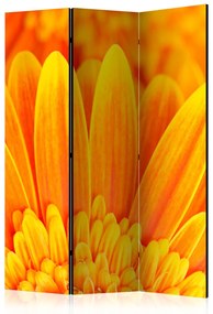 Paravento design Gerbera Gialla - Composizione di fiori gialli brillanti