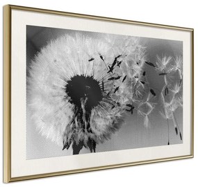 Poster  Dandelion in the Wind  Cornice Quadri Cornice d'oro con passe-partout, Larghezza x Altezza Home decor 30x20