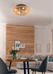 Plafoniera marrone con telecomando e ventilatore Lillesand – Trio