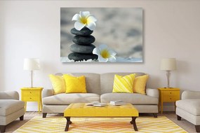 Quadro su tela – Pietre armoniche e fiore di plumeria