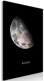 Quadro  Moon (1 Part) Vertical  Colore Bianco, Dimensioni e Misure 40x60