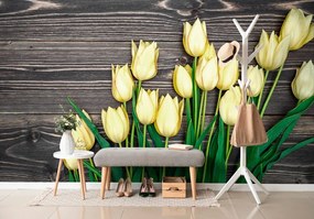 Carta da parati – Tulipani gialli su sfondo di legno