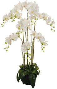 Pianta artificiale senza vaso Orchidea in Real Touch H 125