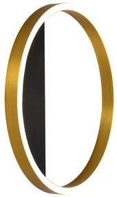 Rabalux 71310 - Applique a LED THRIC LED/15W/230V