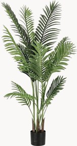 Pianta artificiale Kenzia