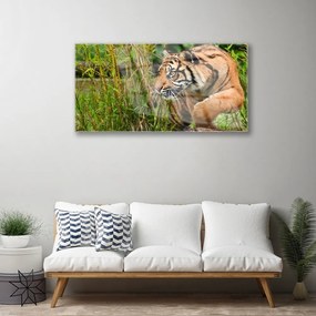 Quadro in vetro acrilico Animali tigre 100x50 cm