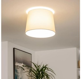 Brilagi - Plafoniera LED CERIA 1xE27/40W/230V Ø 30 cm beige