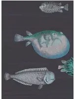 Cole & Son Carta da parati Acquario - Tiefseeblau