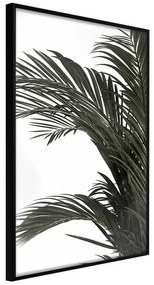 Poster  Jungle Scent  Cornice Quadri Cornice nera, Larghezza x Altezza Home decor 30x45