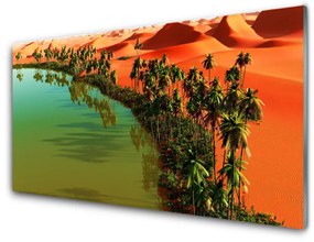 Quadro in vetro acrilico Lago Palm Desert 100x50 cm