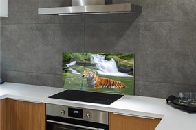 Pannello paraschizzi cucina Cascata della tigre 100x50 cm