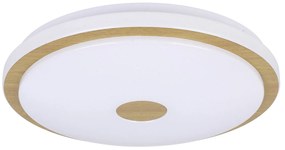 Plafoniera Moderna Lanciano 1 Acciaio Bianco Luce Led Integrato 24W