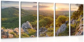 Quadri 5 pezzi – Natura baciata dal sole