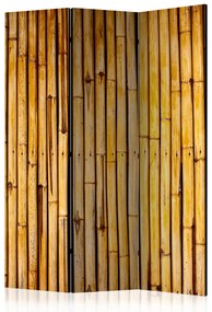 Paravento Giardino di bambù - texture di bambù su uno sfondo orientale