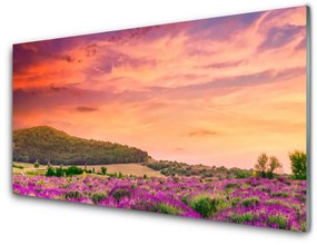 Quadro acrilico Paesaggio di fiori di prato 100x50 cm