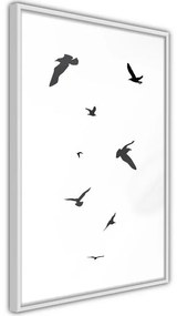 Poster Birds