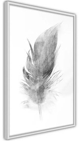 Poster Lost Feather (Grey)