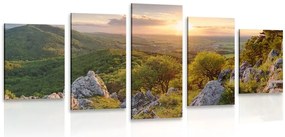 Quadri 5 pezzi – Natura baciata dal sole