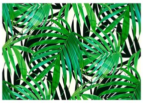 Fotomurale  Tropical Leaves  Colore Bianco, Dimensioni e Misure 100x70