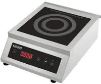 Piastra a induzione professionale 5000 watt RS9813