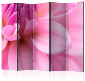 Paravento Petali Floreali - Dalie II - vellutati e romantici fiori rosa