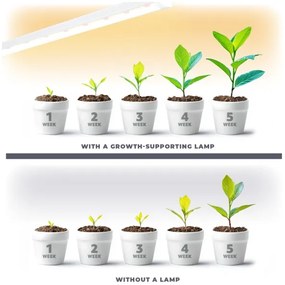Lampada LED per coltivazione piante GROWLY LED/15W/230V