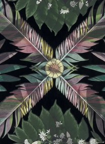 Christian Lacroix Carta da parati Feather Park - Jais