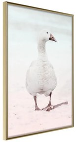 Poster  Walking Goose  Cornice Quadri Cornice d'oro, Larghezza x Altezza Home decor 40x60