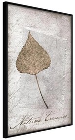 Poster  Dried Leaf  Cornice Quadri Cornice nera, Larghezza x Altezza Home decor 30x45