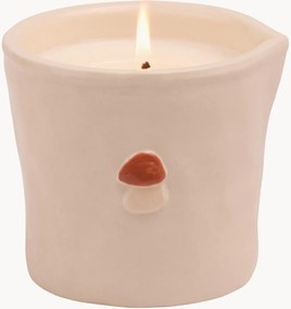 Candela profumata Paddywax Wild Mushroom