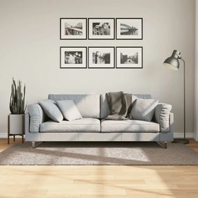 Tappeto Shaggy Pamplona A Pelo Lungo Moderno Beige 100x200 Cm /