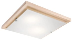 Lampada da soffitto 2xE27/60W/230V