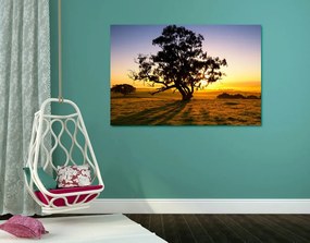 Quadro su tela – Albero solitario al tramonto