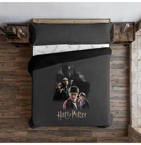Copripiumino Harry Potter Rivalry Multicolore 200 x 200 cm Piazza e mezza