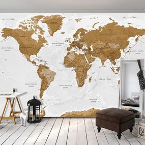 Fotomurale adesivo  World Map: White Oceans  Larghezza x Altezza Home decor 147x105