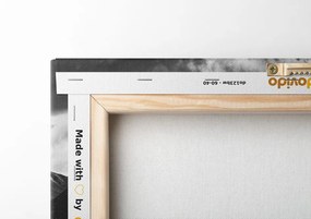 Quadro su tela – Panorama montano magnifico in bianco e nero