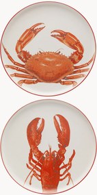 Set di 4 piatti piani Crabes