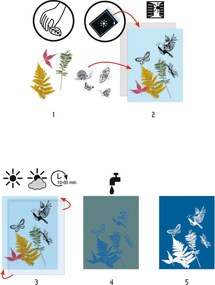 Set creativo iniziale - cianotipia