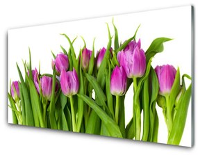 Quadro in vetro Tulipani Fiori Pianta 100x50 cm