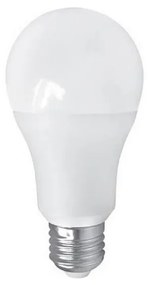 Lampadina LED PITT A60 AC/DC E27/12W/24V 4000K