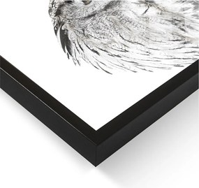 Dipinto 50x70 cm Owl – Styler