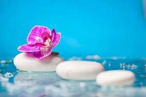 Carta da parati – Orchidea e pietre zen