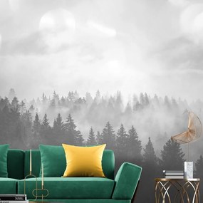 Carta da parati – Nebbia in bianco e nero sopra la foresta