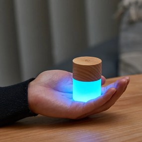 Decorazione luminosa di colore naturale con ricarica USB ø 4,5 cm Lemelia – Gingko