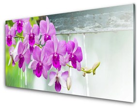 Quadro in vetro Orchidee gocce di natura 100x50 cm
