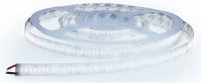 Solight WM612 - Striscia LED LED/80W/12V 5m bianco freddo