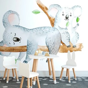 Carta da parati – Koala carini