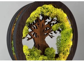 Li-Go 23604/DUB2 - Lampada decorativa da tavolo dimmerabile a LED/12W/230V 20x22 cm rovere