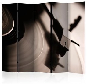 Paravento Gramophone and vinyl record II [Room Dividers]