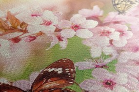Quadro su tela – Fiori primaverili con farfalle esotiche